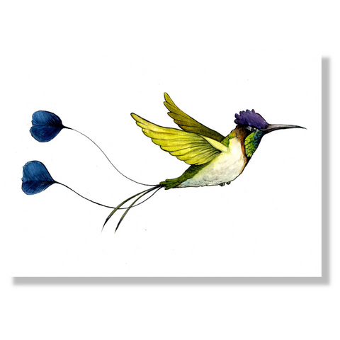 Postkarten-Set Nilpferdson Erdmannson Kolibri Schildegard und die Gang