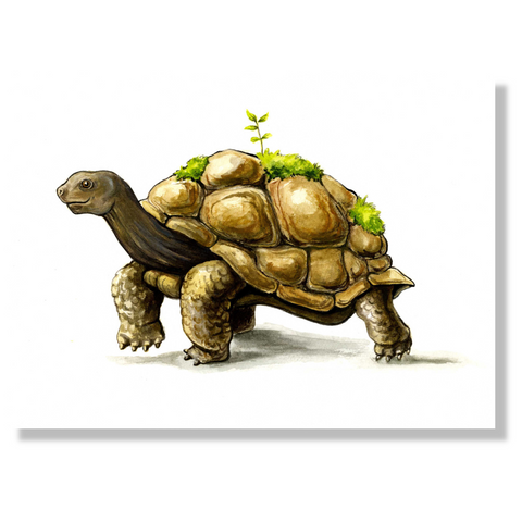 Postkarten-Set Nilpferdson Erdmannson Kolibri Schildegard und die Gang