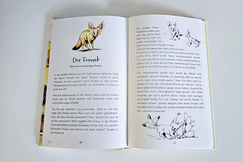 Buch "Wunderbare Wesen"